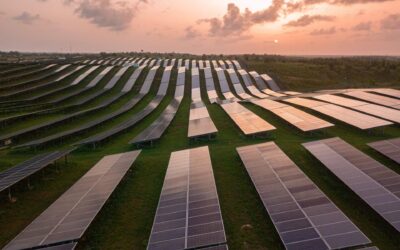Infinigen Renewables impulsa la sustentabilidad en Puerto Rico con energía solar